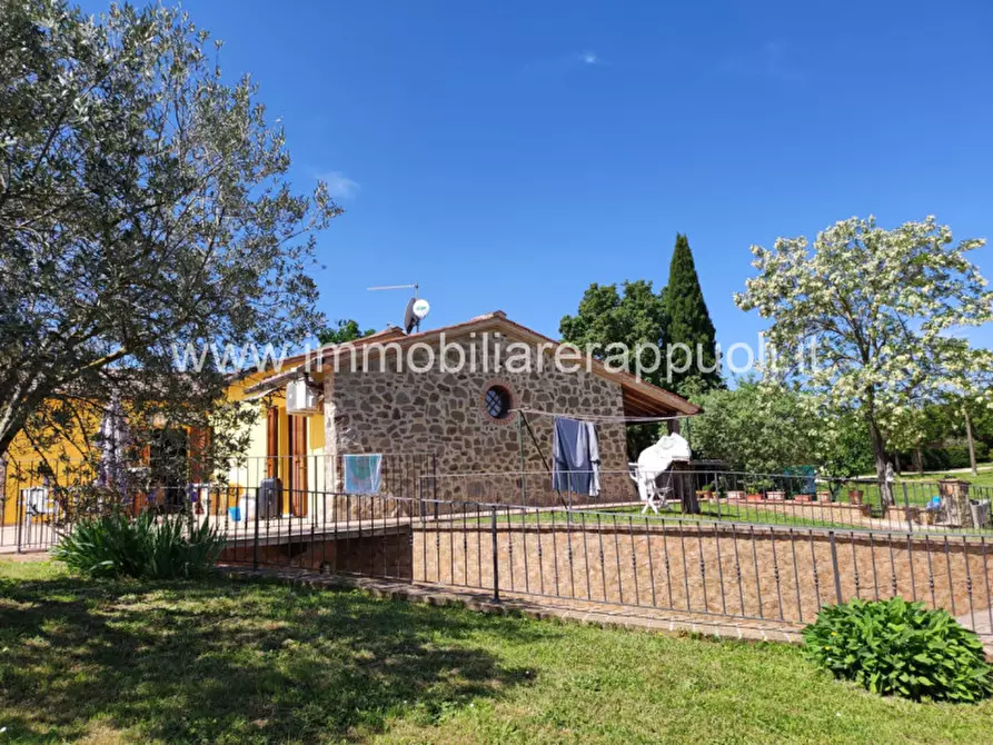 Immagine 6 di Casa indipendente in vendita  a Sinalunga