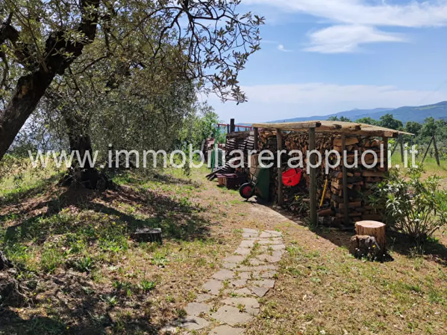 Immagine 7 di Casa indipendente in vendita  a Sinalunga