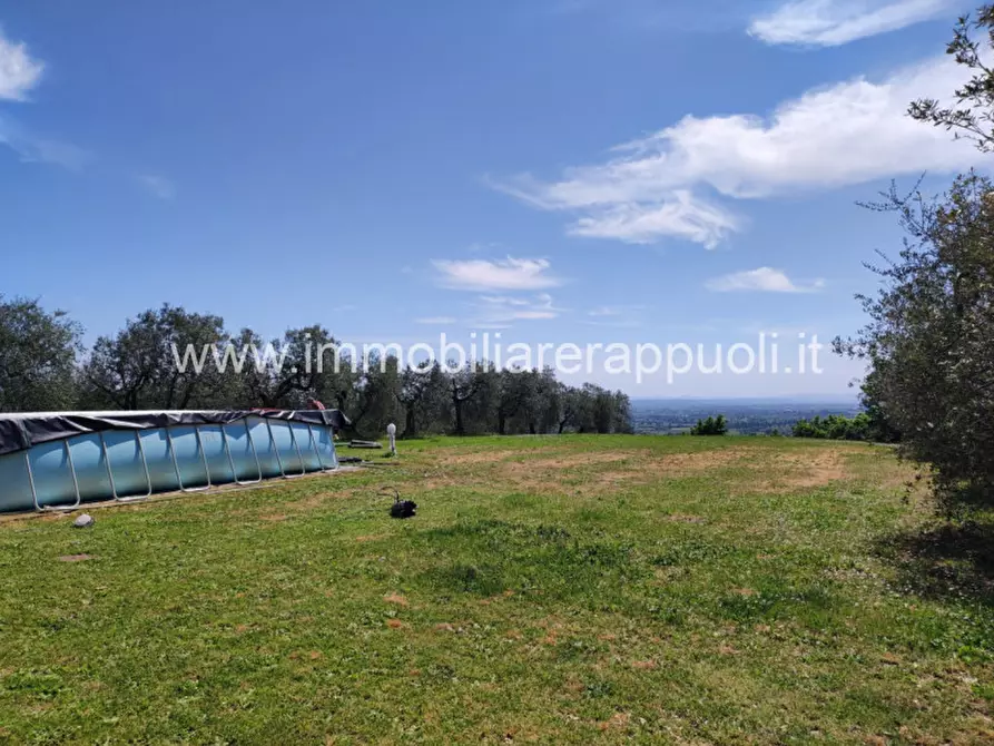 Immagine 8 di Casa indipendente in vendita  a Sinalunga