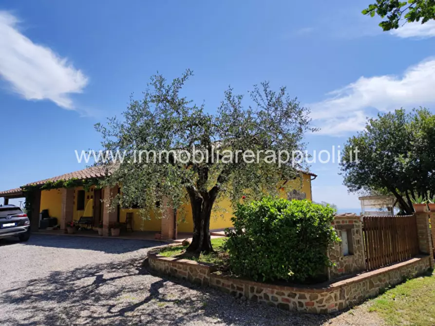 Immagine 10 di Casa indipendente in vendita  a Sinalunga