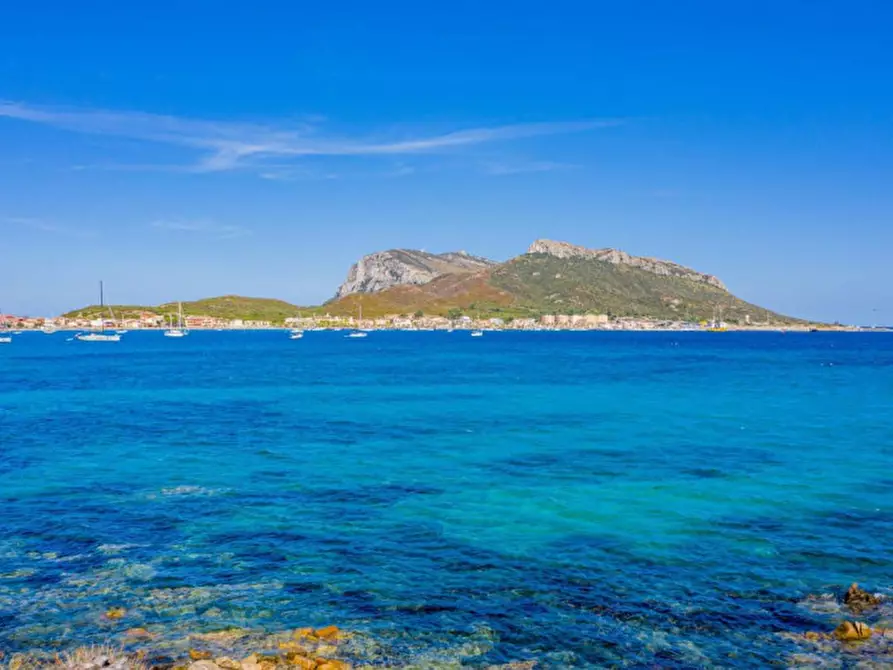 Immagine 22 di Appartamento in vendita  in via del ginepro a Golfo Aranci