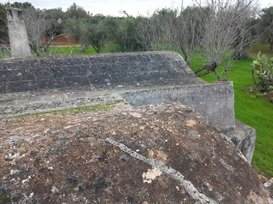 Immagine 21 di Rustico / casale in vendita  in C.da Coltura a Latiano