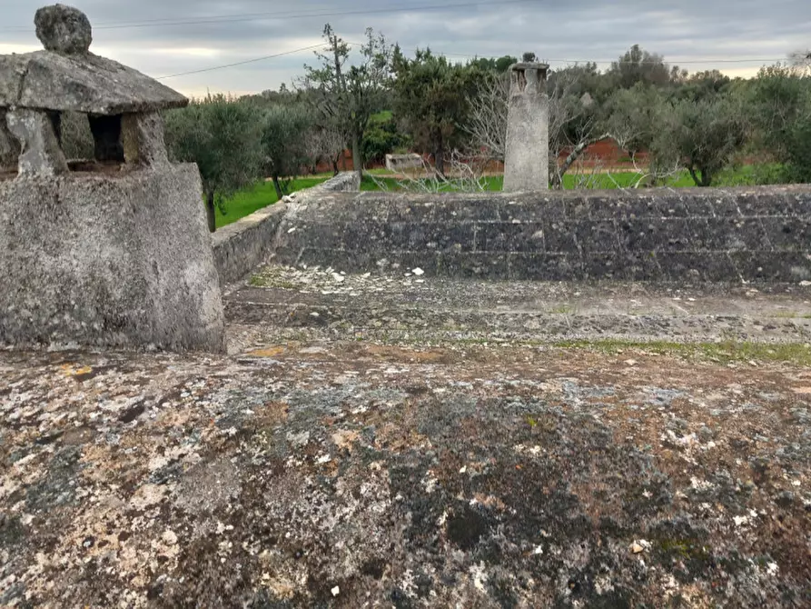 Immagine 22 di Rustico / casale in vendita  in C.da Coltura a Latiano