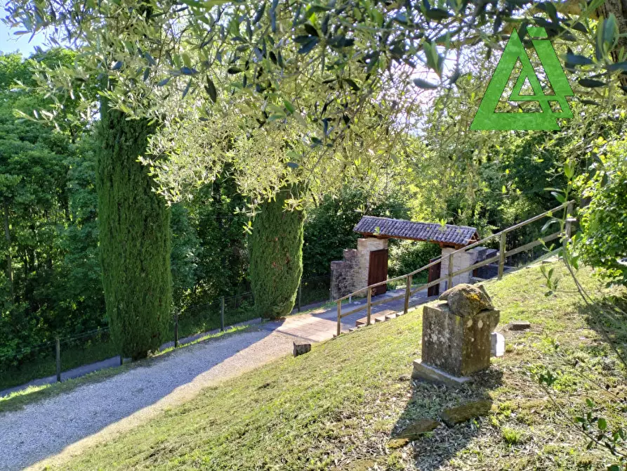 Immagine 2 di Villa in vendita  a Asolo