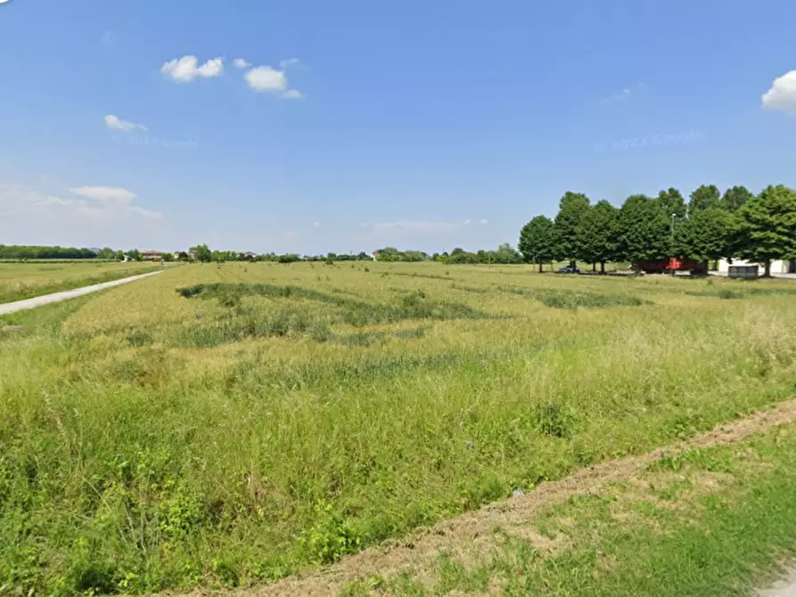 Immagine 2 di Terreno in vendita  in VIA DESON a Monselice