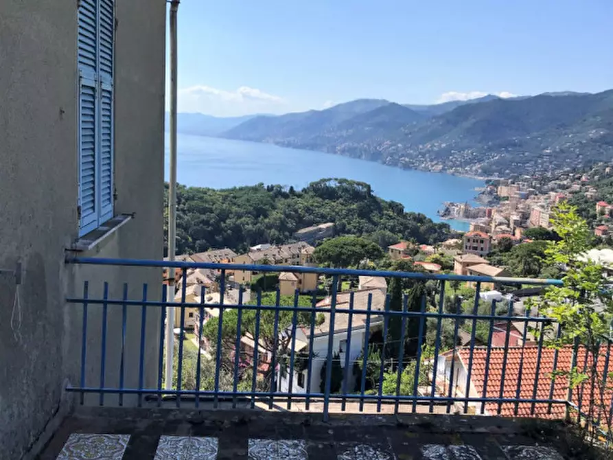 Immagine 5 di Terreno in vendita  in Via Pissorella a Camogli
