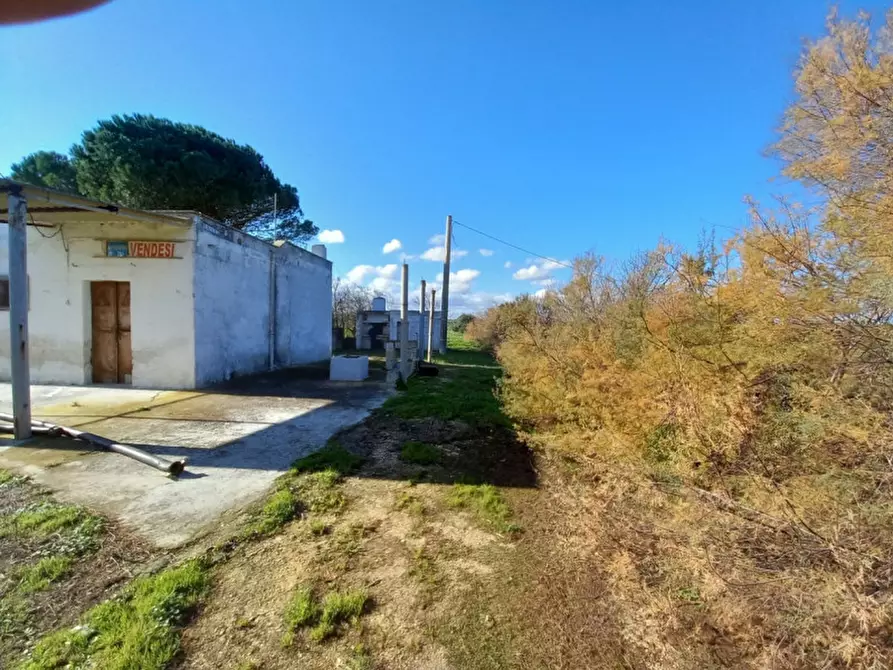 Immagine 2 di Rustico / casale in vendita  in C.da Apani a Brindisi