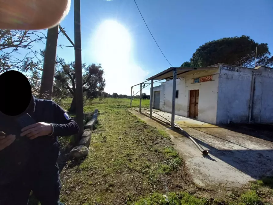 Immagine 3 di Rustico / casale in vendita  in C.da Apani a Brindisi