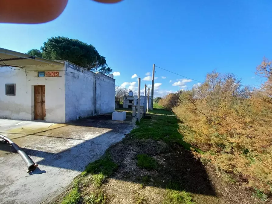 Immagine 4 di Rustico / casale in vendita  in C.da Apani a Brindisi