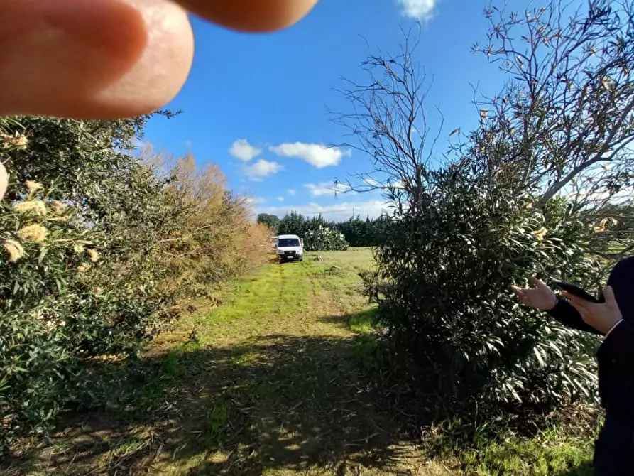 Immagine 5 di Rustico / casale in vendita  in C.da Apani a Brindisi