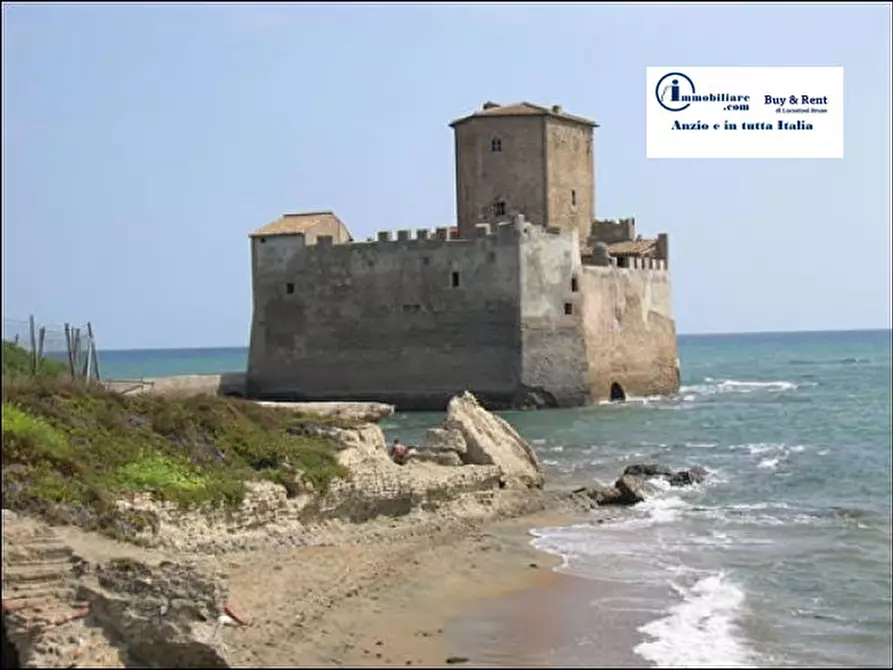 Immagine 2 di Terreno in vendita  in via torre in sabina a Nettuno