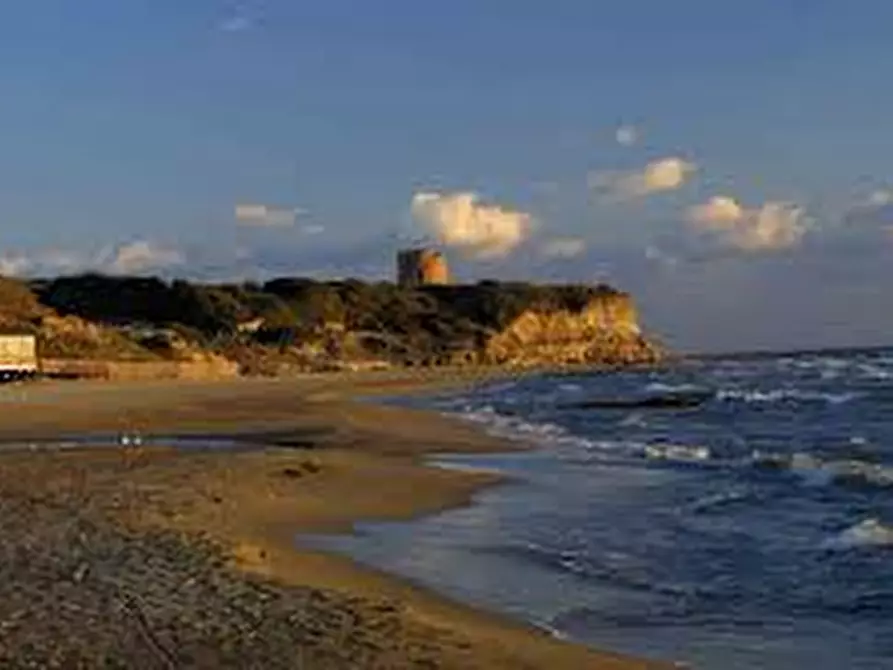 Immagine 9 di Terreno in vendita  in via torre in sabina a Nettuno