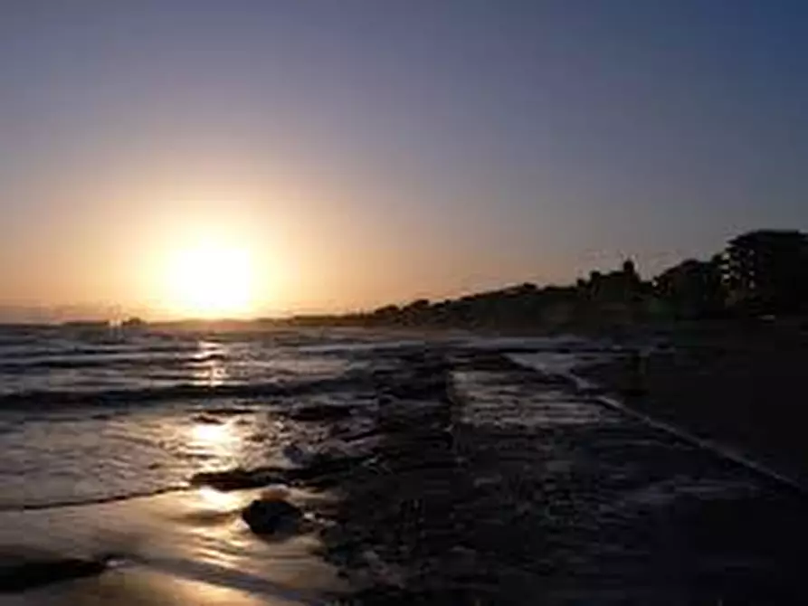 Immagine 10 di Terreno in vendita  in via torre in sabina a Nettuno