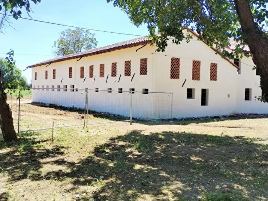 Immagine 3 di Rustico / casale in vendita  in via San Pio X 34/a a Castelfranco Veneto