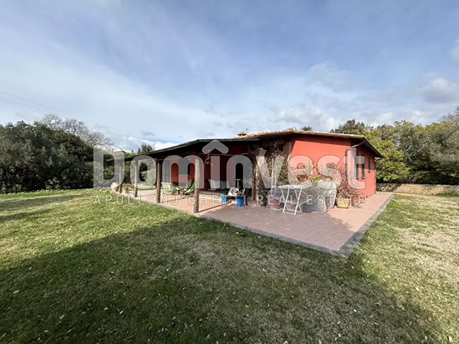 Immagine 3 di Rustico / casale in vendita  in strada villa pinciana a Capalbio