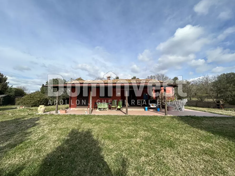 Immagine 5 di Rustico / casale in vendita  in strada villa pinciana a Capalbio