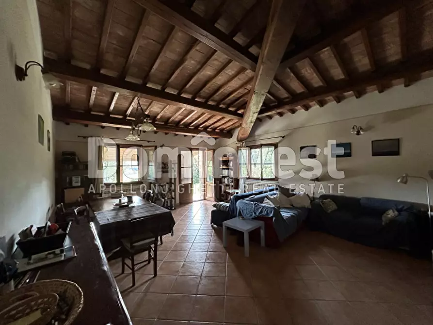 Immagine 5 di Rustico / casale in vendita  in strada villa pinciana a Capalbio