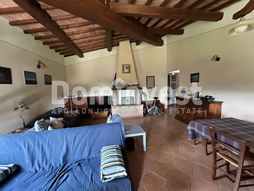 Immagine 7 di Rustico / casale in vendita  in strada villa pinciana a Capalbio