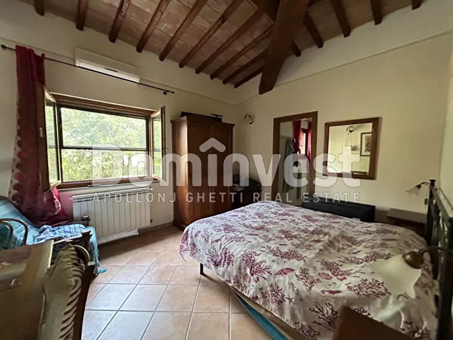 Immagine 12 di Rustico / casale in vendita  in strada villa pinciana a Capalbio