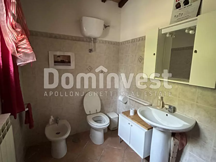 Immagine 15 di Rustico / casale in vendita  in strada villa pinciana a Capalbio