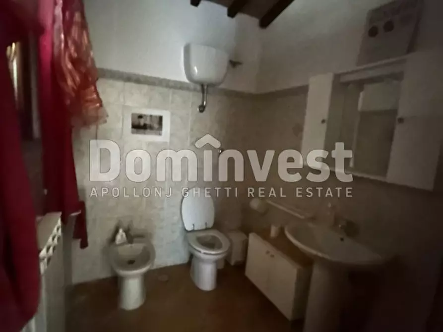 Immagine 16 di Rustico / casale in vendita  in strada villa pinciana a Capalbio