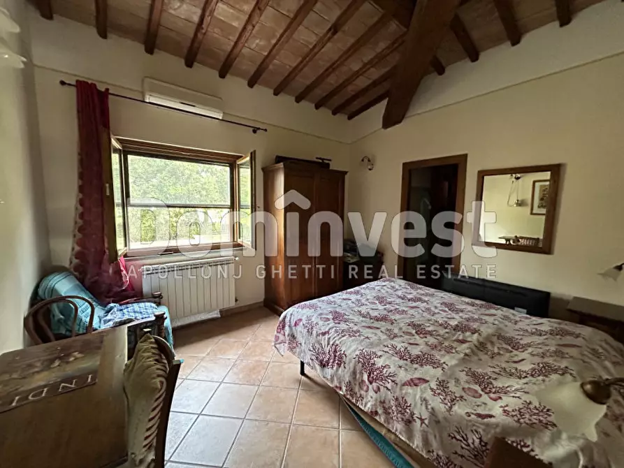 Immagine 17 di Rustico / casale in vendita  in strada villa pinciana a Capalbio