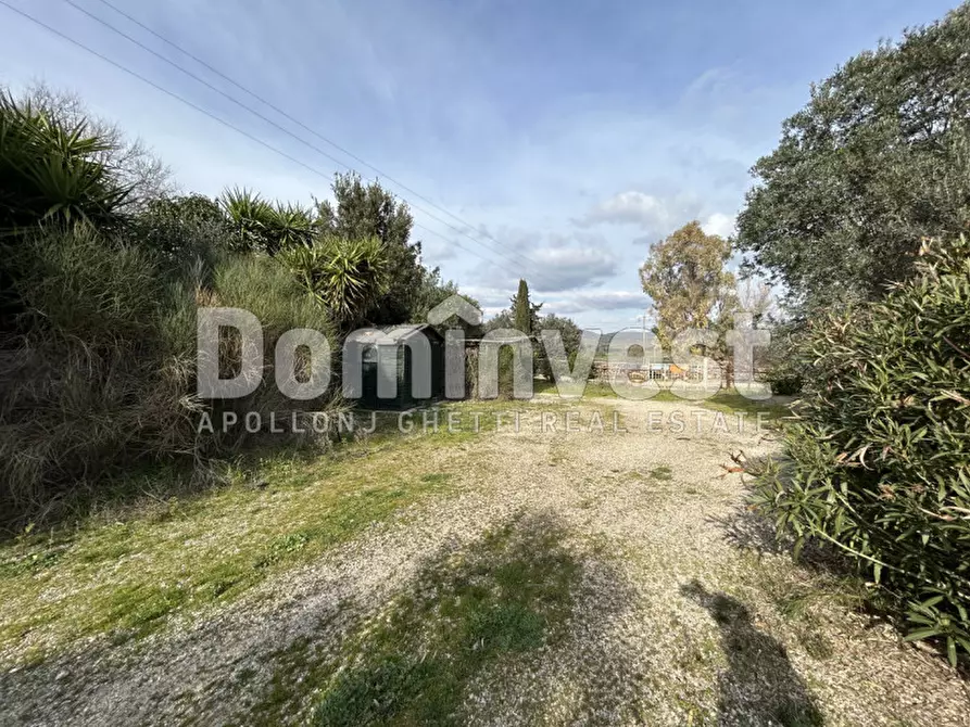 Immagine 21 di Rustico / casale in vendita  in strada villa pinciana a Capalbio