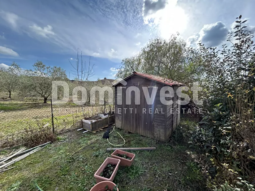 Immagine 23 di Rustico / casale in vendita  in strada villa pinciana a Capalbio