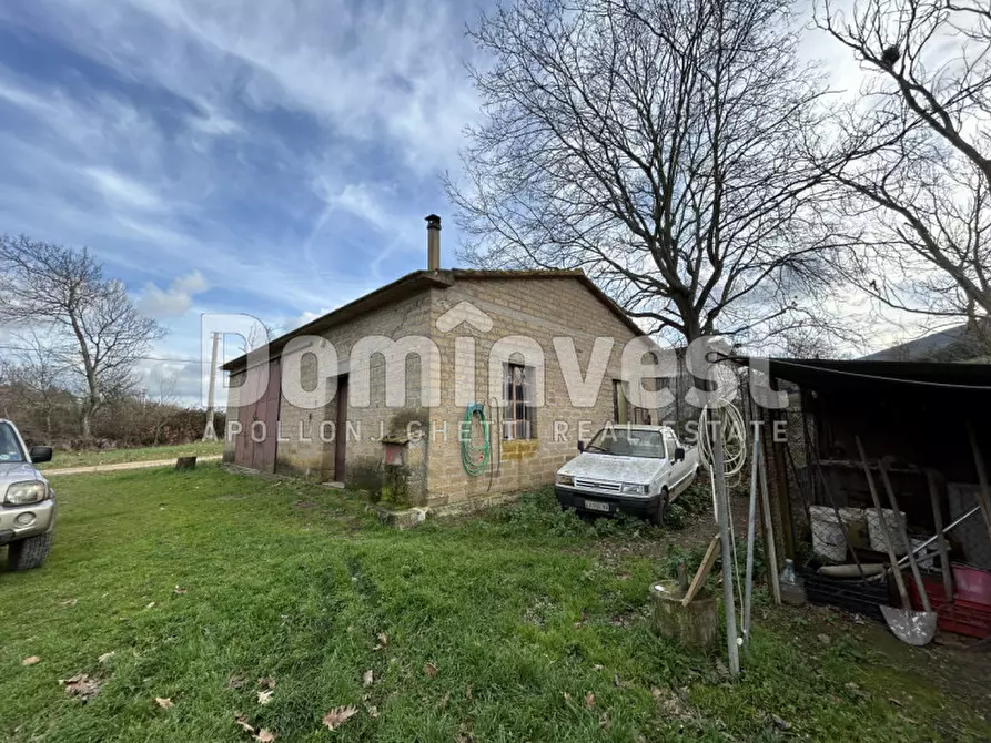 Immagine 4 di Rustico / casale in vendita  in Strada della Sgrilla a Capalbio