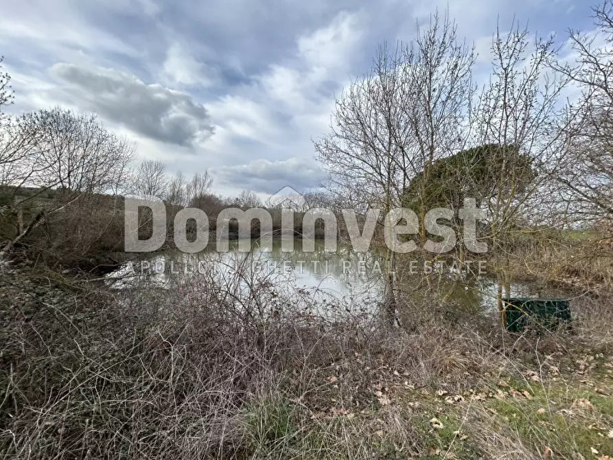 Immagine 8 di Rustico / casale in vendita  in Strada della Sgrilla a Capalbio