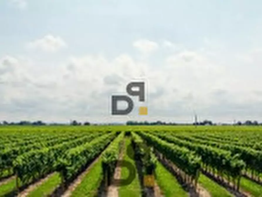 Immagine 1 di Rustico / casale in vendita  in LOC PARGONE a Roè Volciano