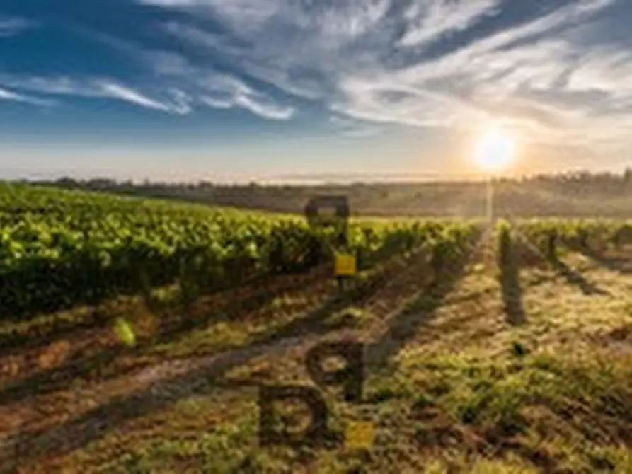 Immagine 1 di Rustico / casale in vendita  in LOC PARGONE a Roè Volciano