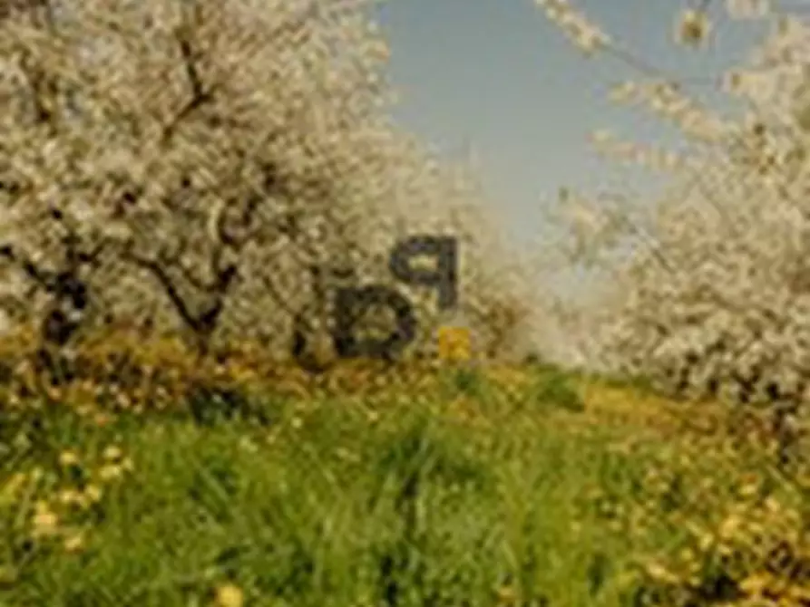 Immagine 2 di Rustico / casale in vendita  in LOC PARGONE a Roè Volciano