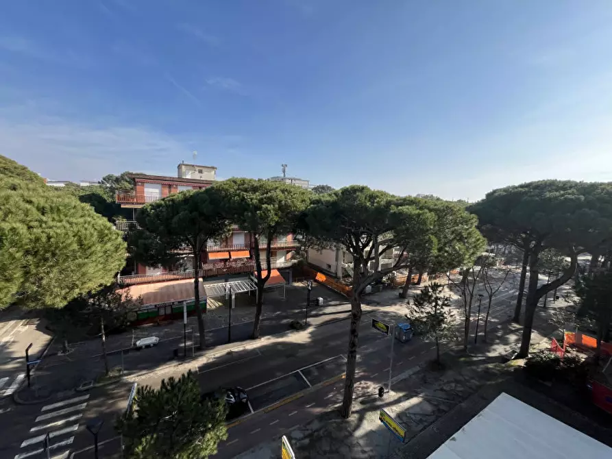 Immagine 23 di Appartamento in vendita  in viale anello del pino a Cervia