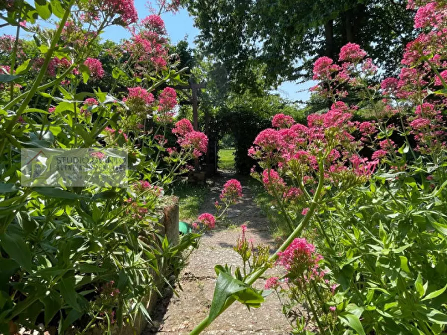 Immagine 8 di Casa indipendente in vendita  a Quinto Di Treviso