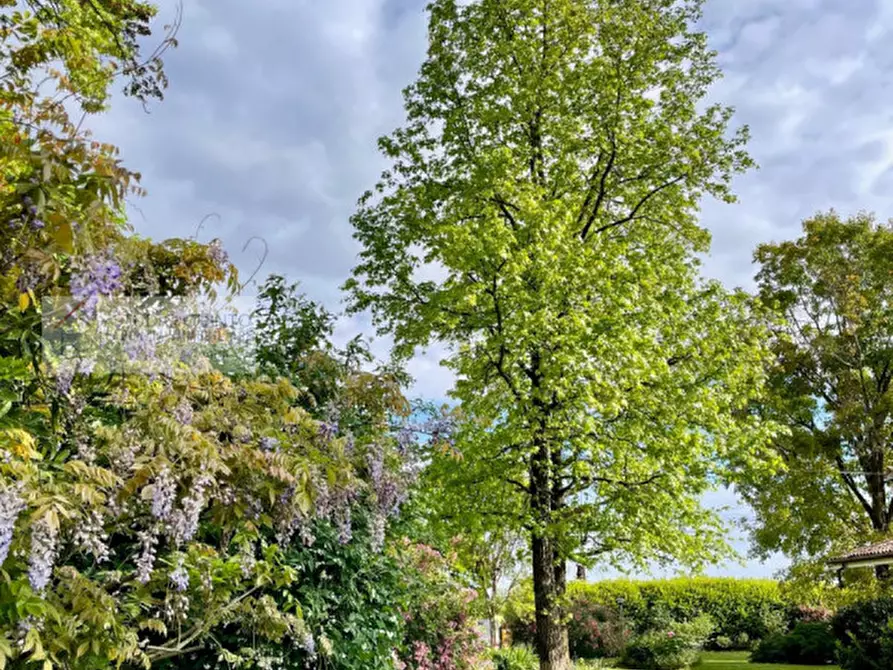 Immagine 14 di Casa indipendente in vendita  a Quinto Di Treviso