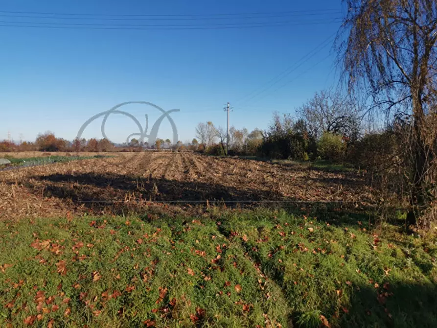 Immagine 6 di Terreno in vendita  in VIA BALLO' a Mirano