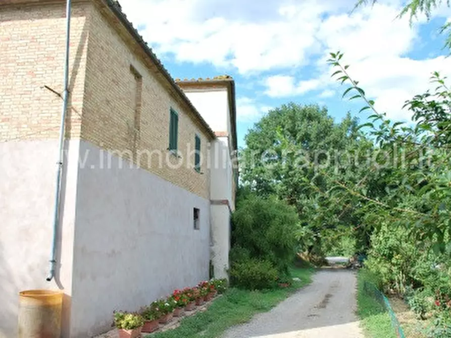 Immagine 4 di Rustico / casale in vendita  a Montalcino