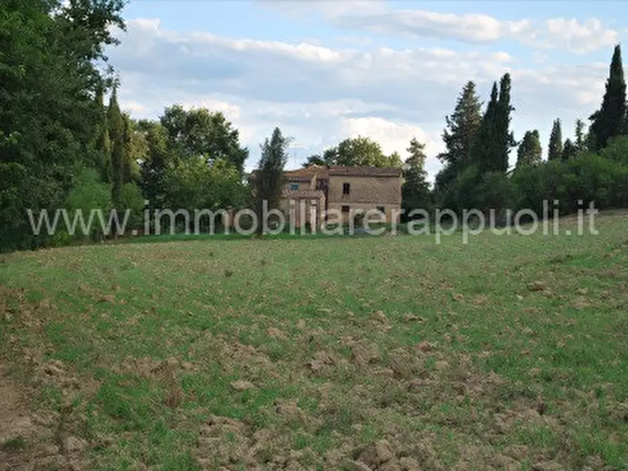 Immagine 6 di Rustico / casale in vendita  a Montalcino