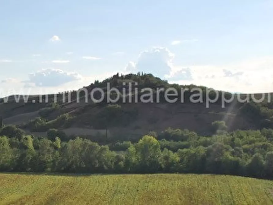 Immagine 7 di Rustico / casale in vendita  a Montalcino