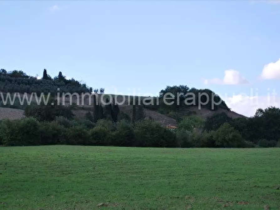 Immagine 8 di Rustico / casale in vendita  a Montalcino