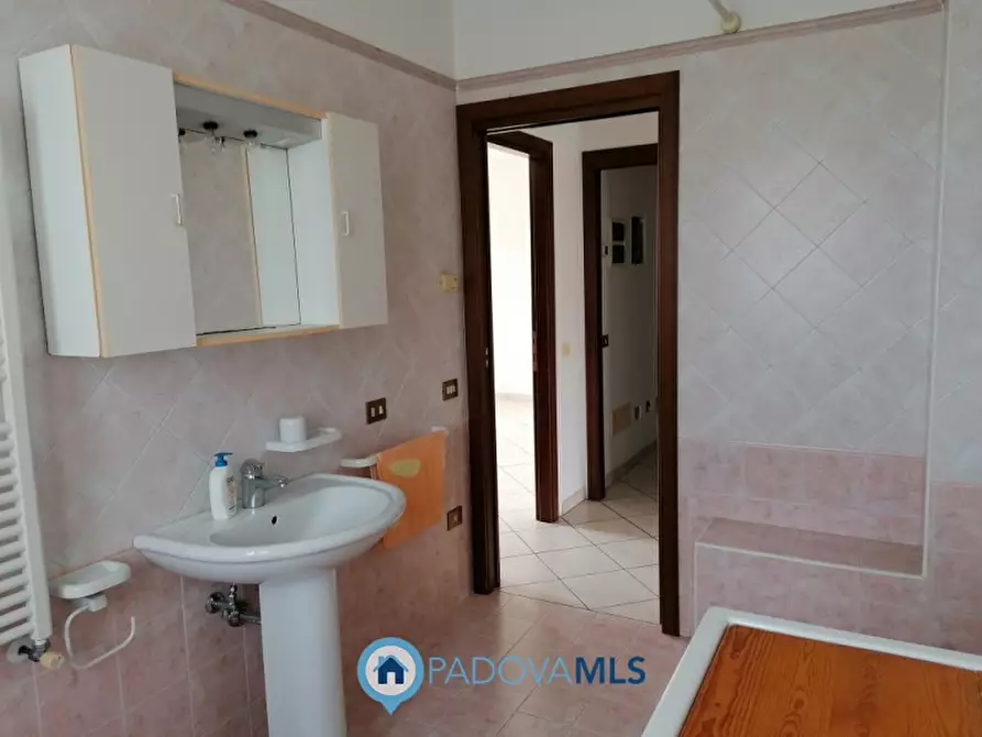 Immagine 21 di Casa indipendente in vendita  in Via rosara a Codevigo