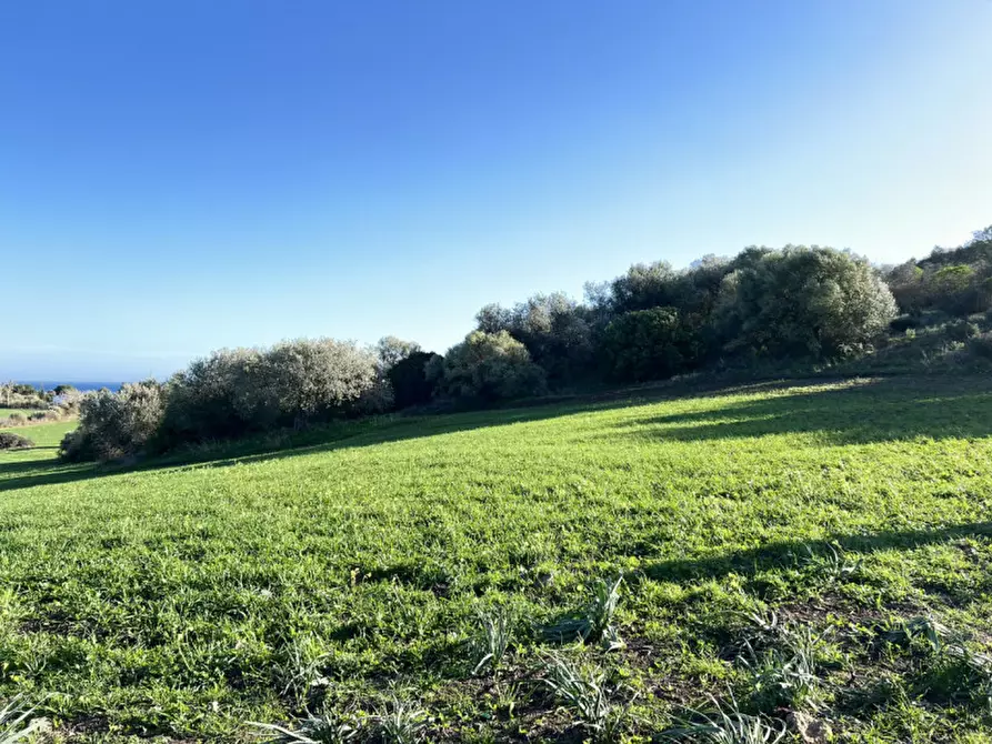 Immagine 2 di Terreno in vendita  in Via del Porto a Sarroch