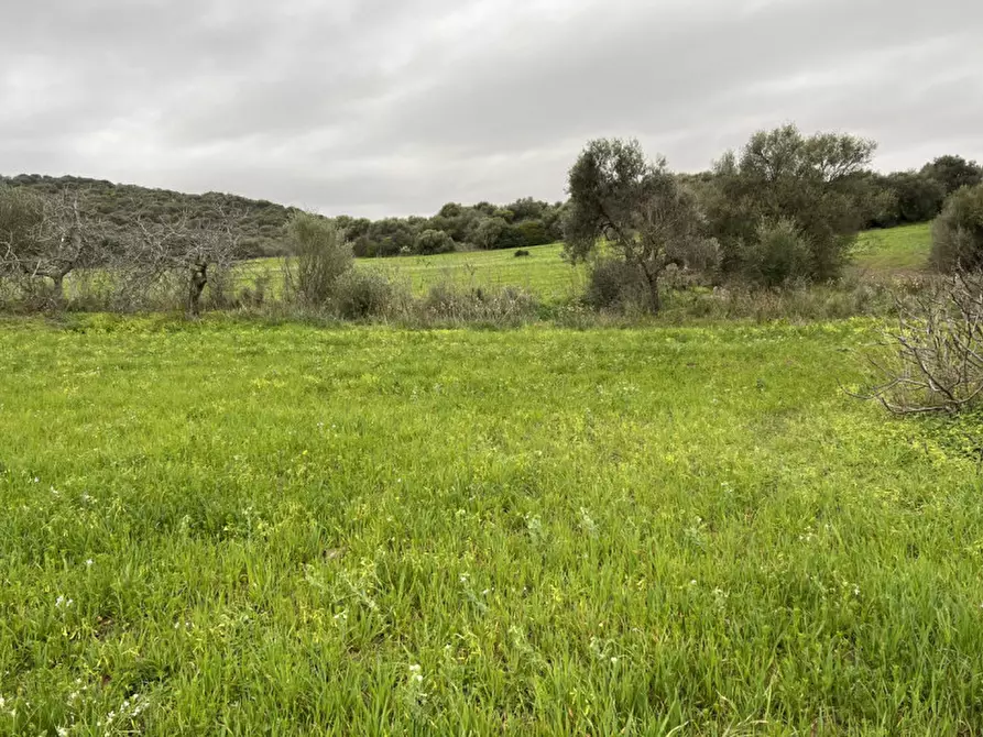 Immagine 4 di Terreno in vendita  in Via del Porto a Sarroch