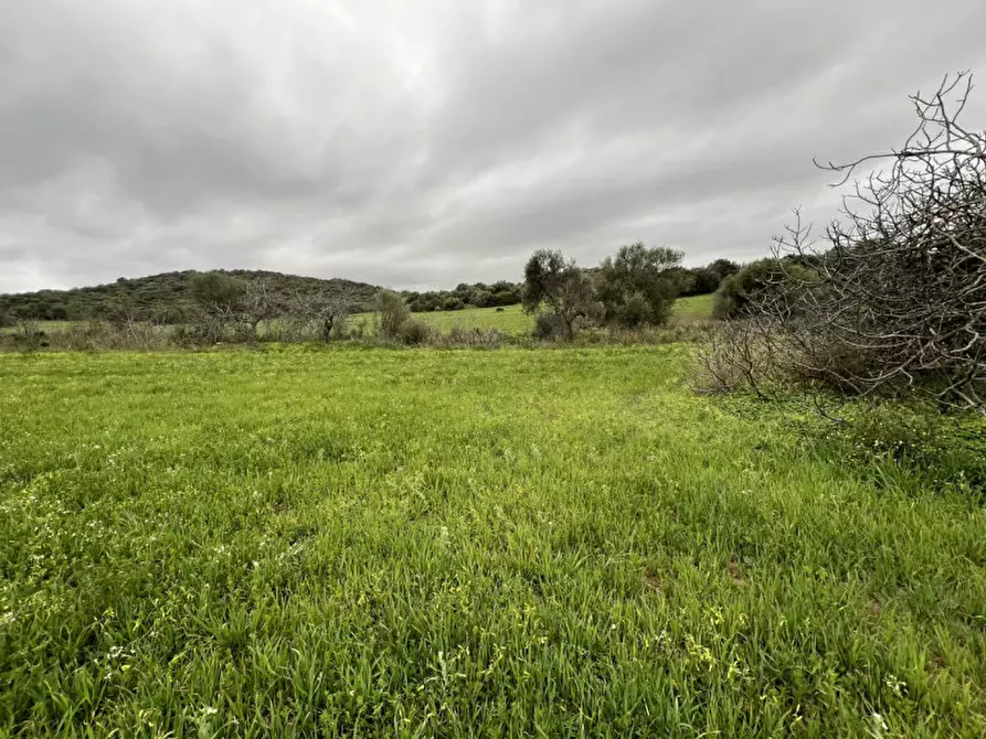 Immagine 5 di Terreno in vendita  in Via del Porto a Sarroch