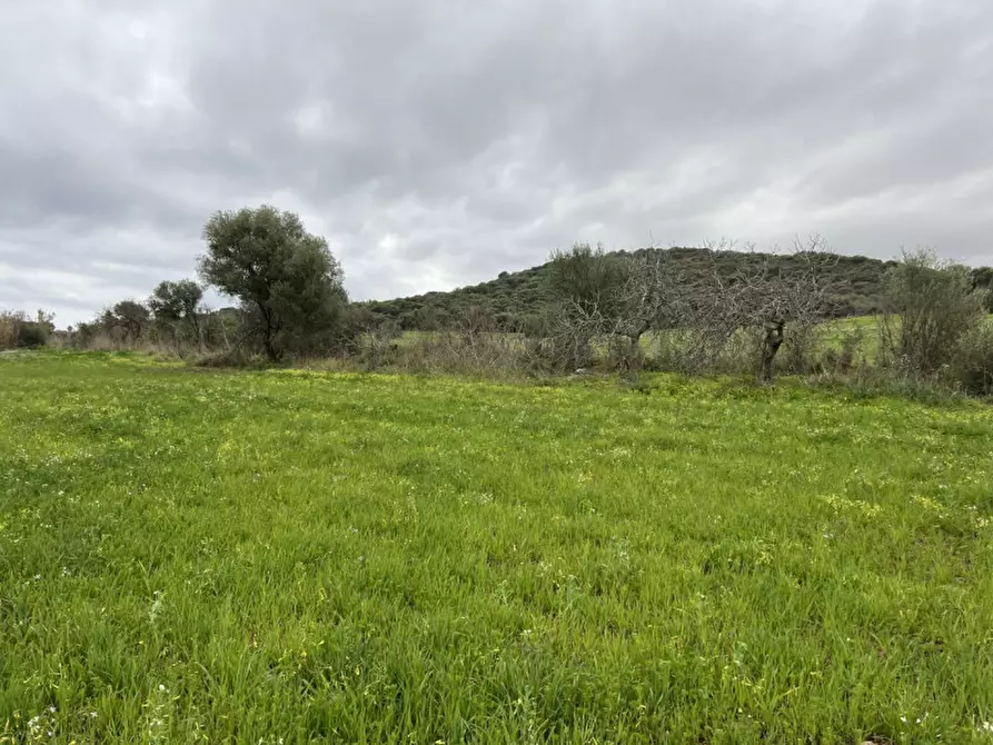Immagine 6 di Terreno in vendita  in Via del Porto a Sarroch