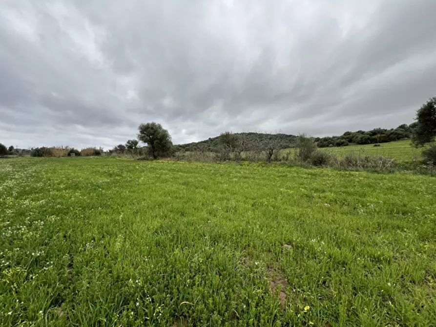 Immagine 7 di Terreno in vendita  in Via del Porto a Sarroch