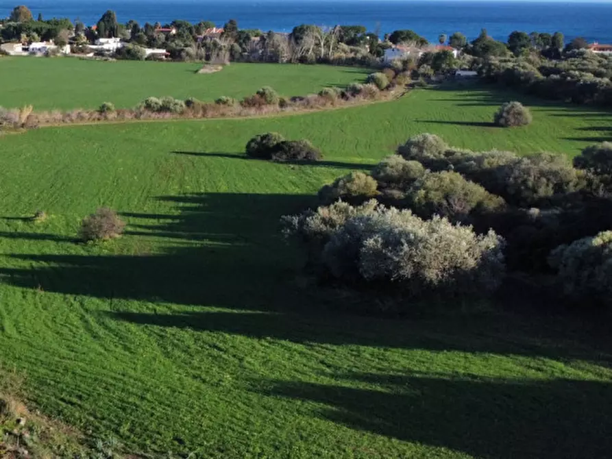 Immagine 8 di Terreno in vendita  in Via del Porto a Sarroch