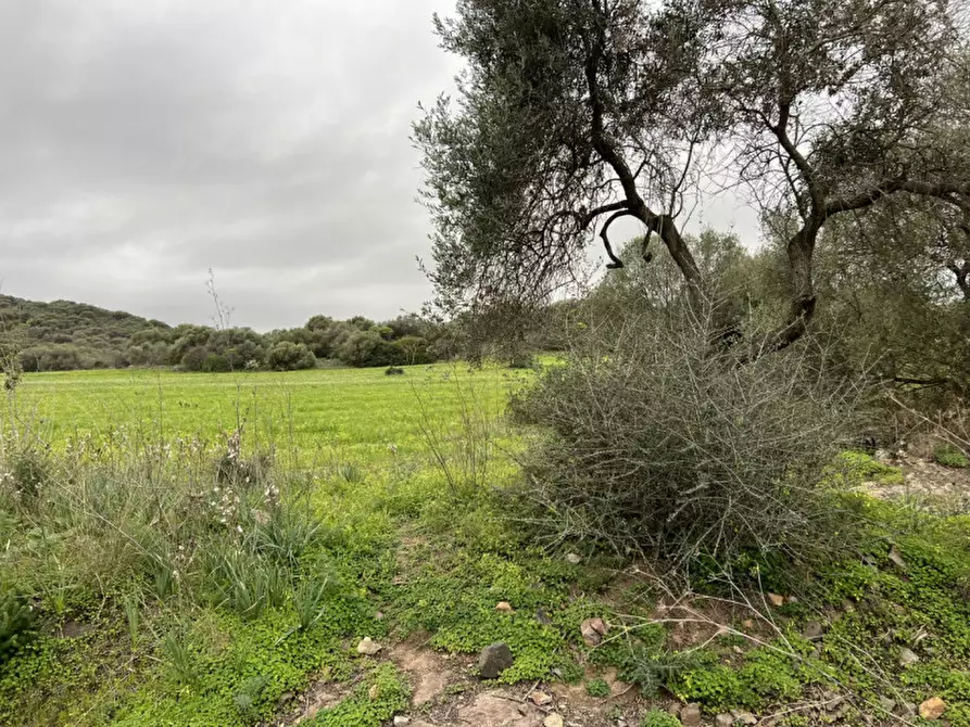 Immagine 10 di Terreno in vendita  in Via del Porto a Sarroch