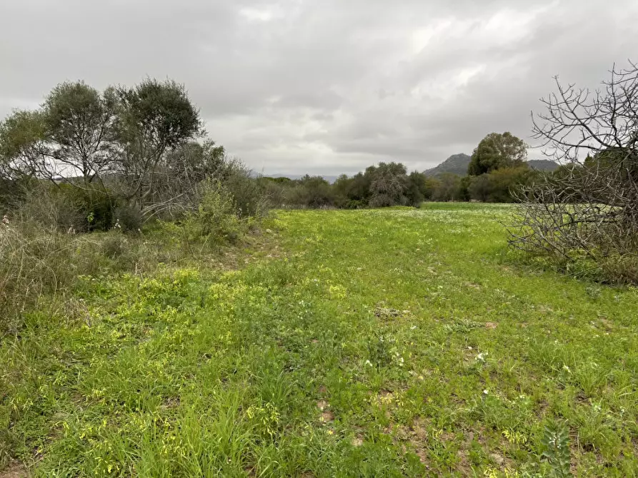 Immagine 11 di Terreno in vendita  in Via del Porto a Sarroch